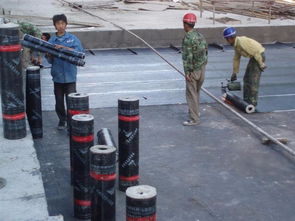 專業防水堵漏與水電維修服務 守護您的居住安全