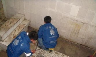 番禺區(qū)廠房屋面防水補(bǔ)漏，專業(yè)公司是保障生產(chǎn)的明智選擇